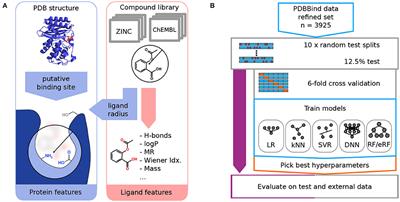 RASPD+: Fast Protein-Ligand Binding Free Energy Prediction Using Simplified Physicochemical Features